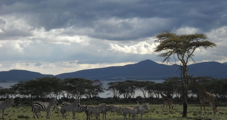 Lake Naivasha